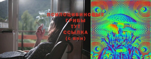 прущий лед Аркадак