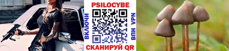 Галлюциногенные грибы Psilocybine cubensis  Татарск 
